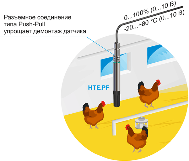 Применение преобразователей HTE.PF для контроля влажности и температуры в животноводческих помещениях