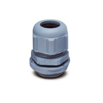 Витрина Сальники, розетки