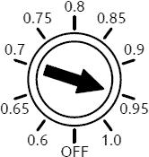 Ip(×Ir)